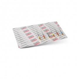 ProTaper NEXT Niti File 31 mm, 6 pz