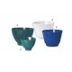 Tazza