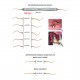 Scaler MICRO CK6 dritto 404.05dTXL, con rivestimento in nitruro di zirconio
