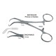 Pinza per campi BACKHAUS 708.00