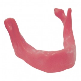 Modelli di impiantologia: mandibola con silicone