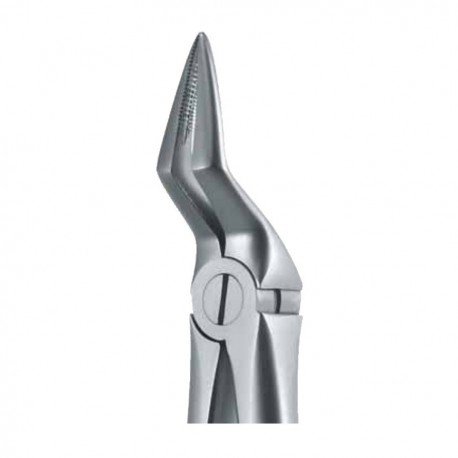 Pinza da estrazione n.51A per arcata superiore