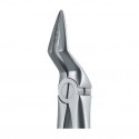 Pinza da estrazione n.51A per arcata superiore