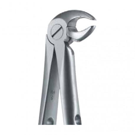 Pinza da estrazione n.13 per premolari arcata inferiore