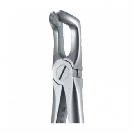 Pinza da estrazione n.79 per denti del giudizio arcata inferiore