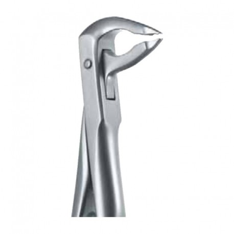 Pinza da estrazione n.36 Twist Ex 3, per denti frontali, arcata inferiore