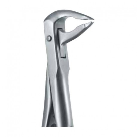 Pinza da estrazione n.36A Twist Ex 4, per denti frontali, arcata inferiore