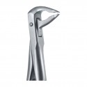 Pinza da estrazione n.36A Twist Ex 4, per denti frontali, arcata inferiore