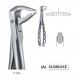 Pinza da estrazione n.36A Twist Ex 4, per denti frontali, arcata inferiore