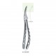 Pinza da estrazione n.44Z Rescue-Line, per arcata superiore