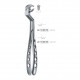 Pinza da estrazione n.22 1/2 Special Wisdom Routurier, per molari arcata inferiore
