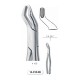 Pinze da estrazione n.10S, molari superiori, american pattern