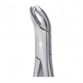 Pinze da estrazione n.17 standard, molari inferiori, american pattern