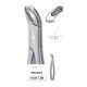 Pinze da estrazione n.17 standard, molari inferiori, american pattern